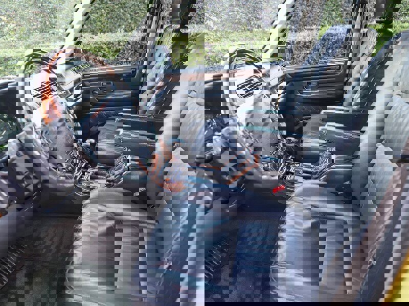 Used 2002 Land Rover Range Rover HSE image 24