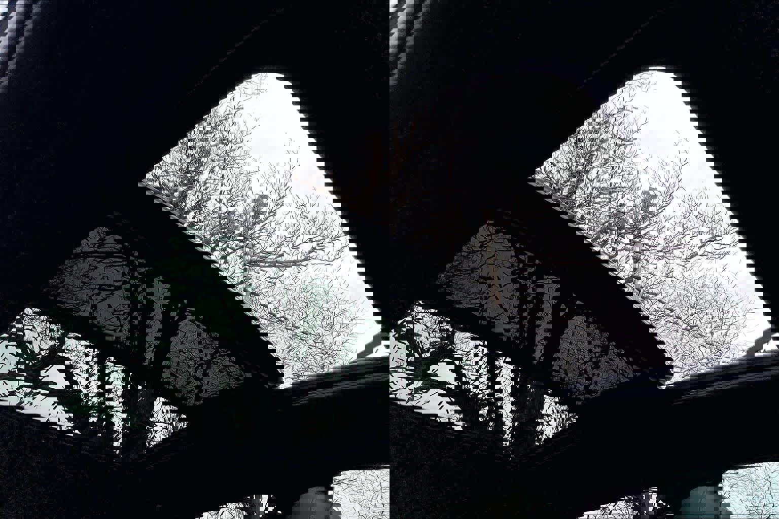 Used 2020 BMW X3 xDrive30i w/ Executive Package image 14