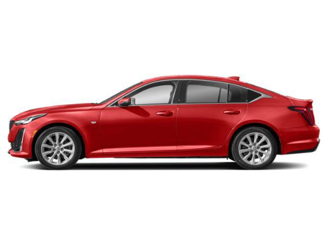 Certified 2024 Cadillac CT5 Luxury w/ Sun And Sound Package image 6