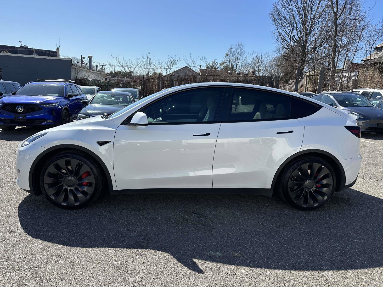 Used 2022 Tesla Model Y Performance AWD/4WD image 6