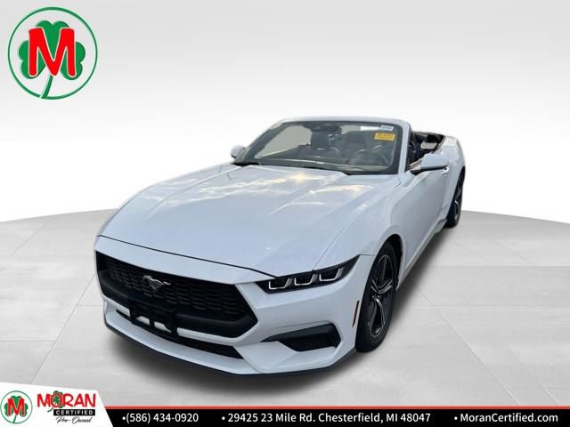 Used 2024 Ford Mustang Premium image 1