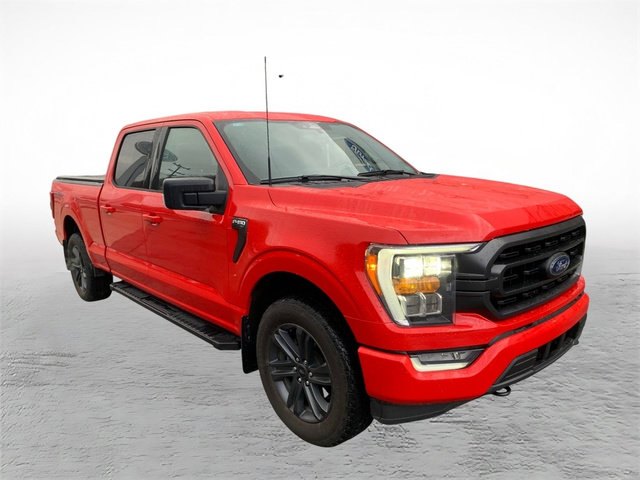Used 2023 Ford F150 XLT w/ Equipment Group 302A High image 8