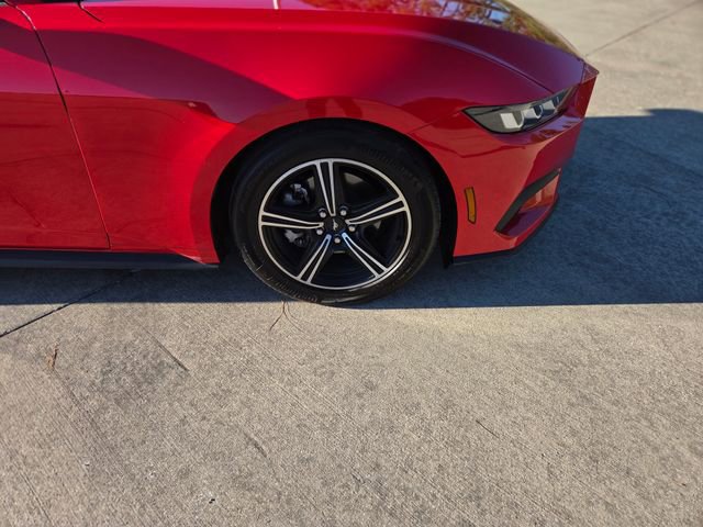 Used 2024 Ford Mustang Coupe image 14