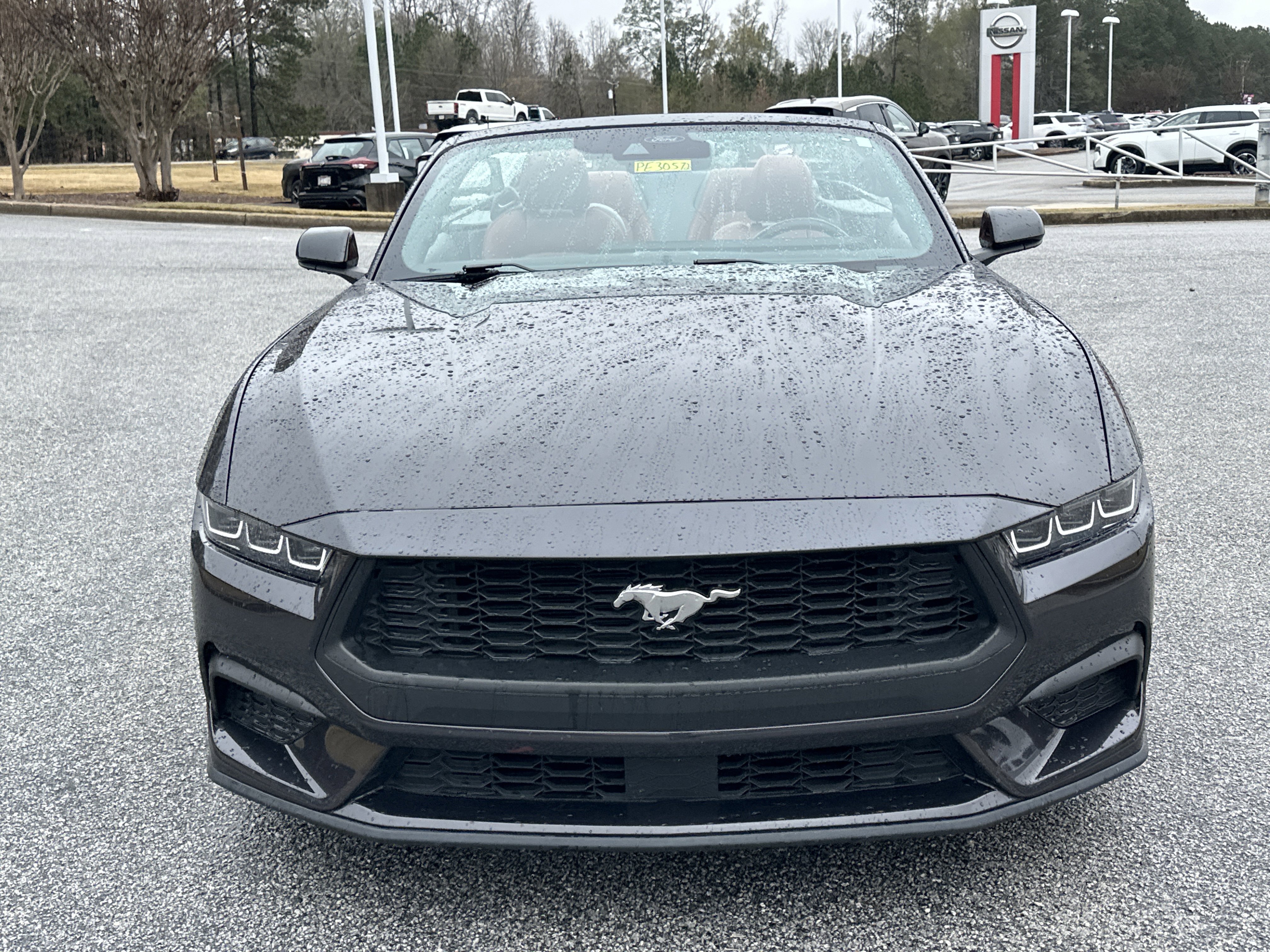 Used 2024 Ford Mustang Premium image 2