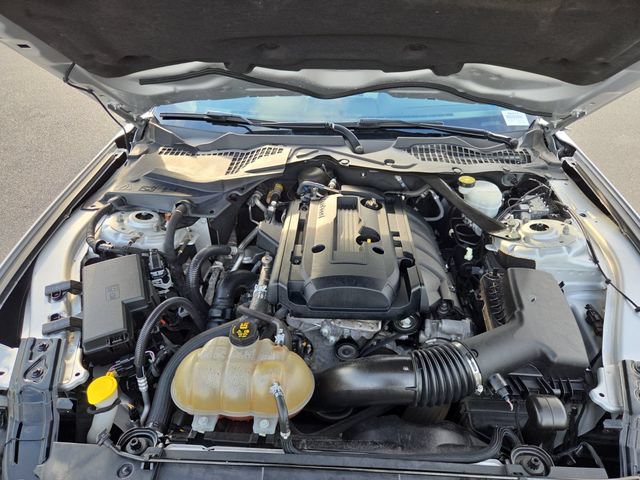 Used 2019 Ford Mustang Premium RWD image 20