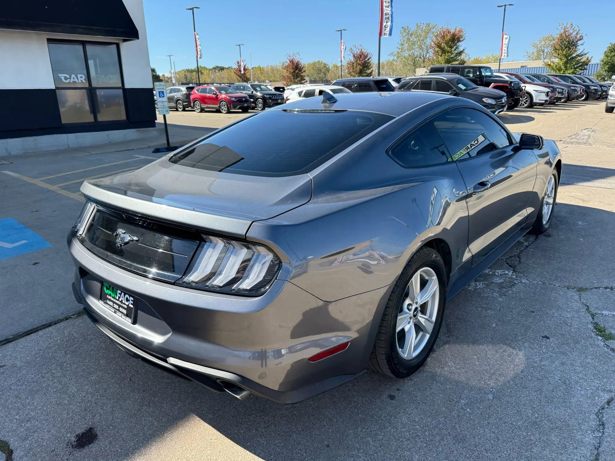Used 2021 Ford Mustang Coupe image 12