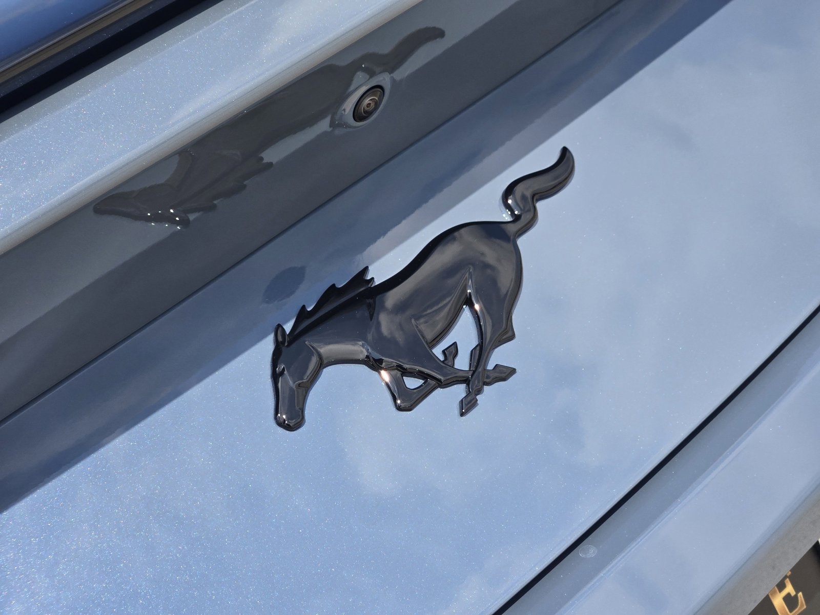 New 2026 Ford Mustang Coupe w/ Mustang Nite Pony Package RWD image 10