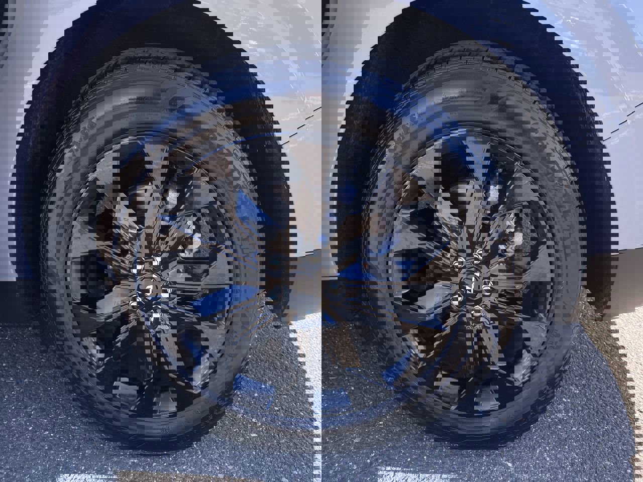 Certified 2024 Kia Carnival SX image 10