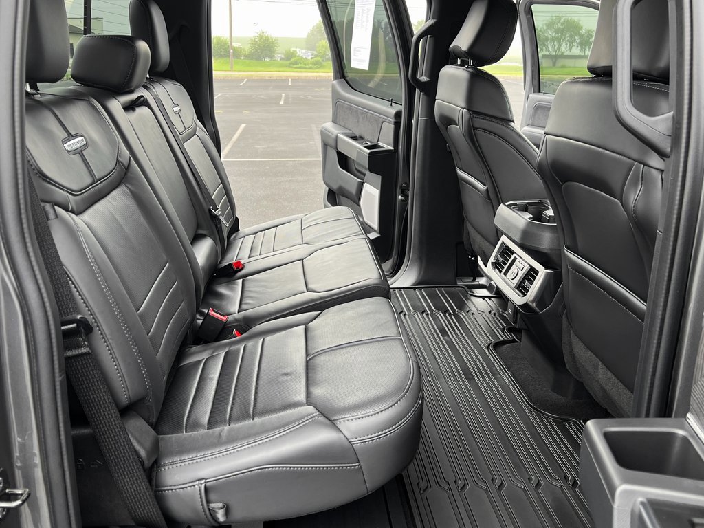 Used 2025 Ford F250 Platinum image 19
