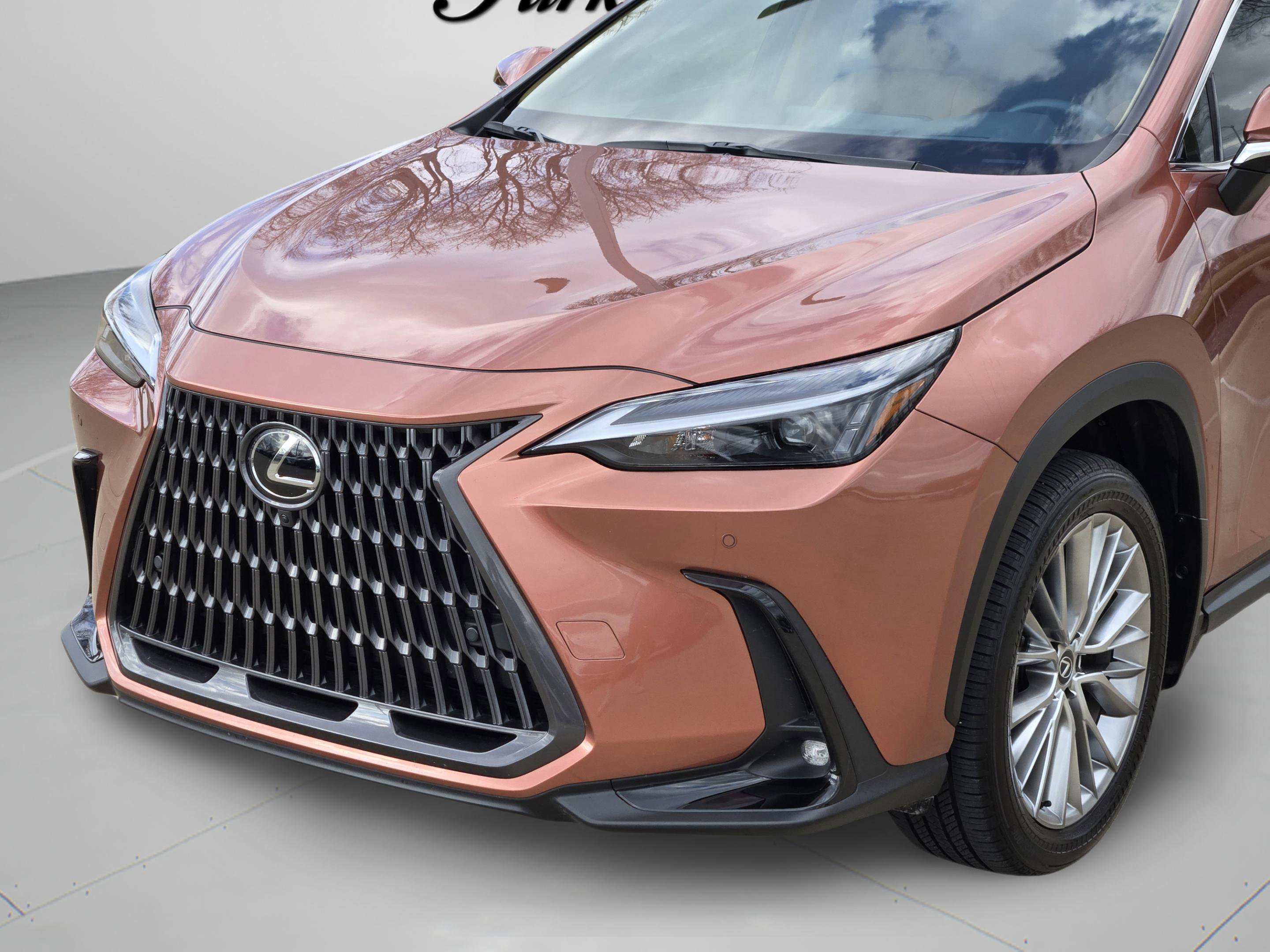 Used 2025 Lexus NX 350 Premium Package image 10