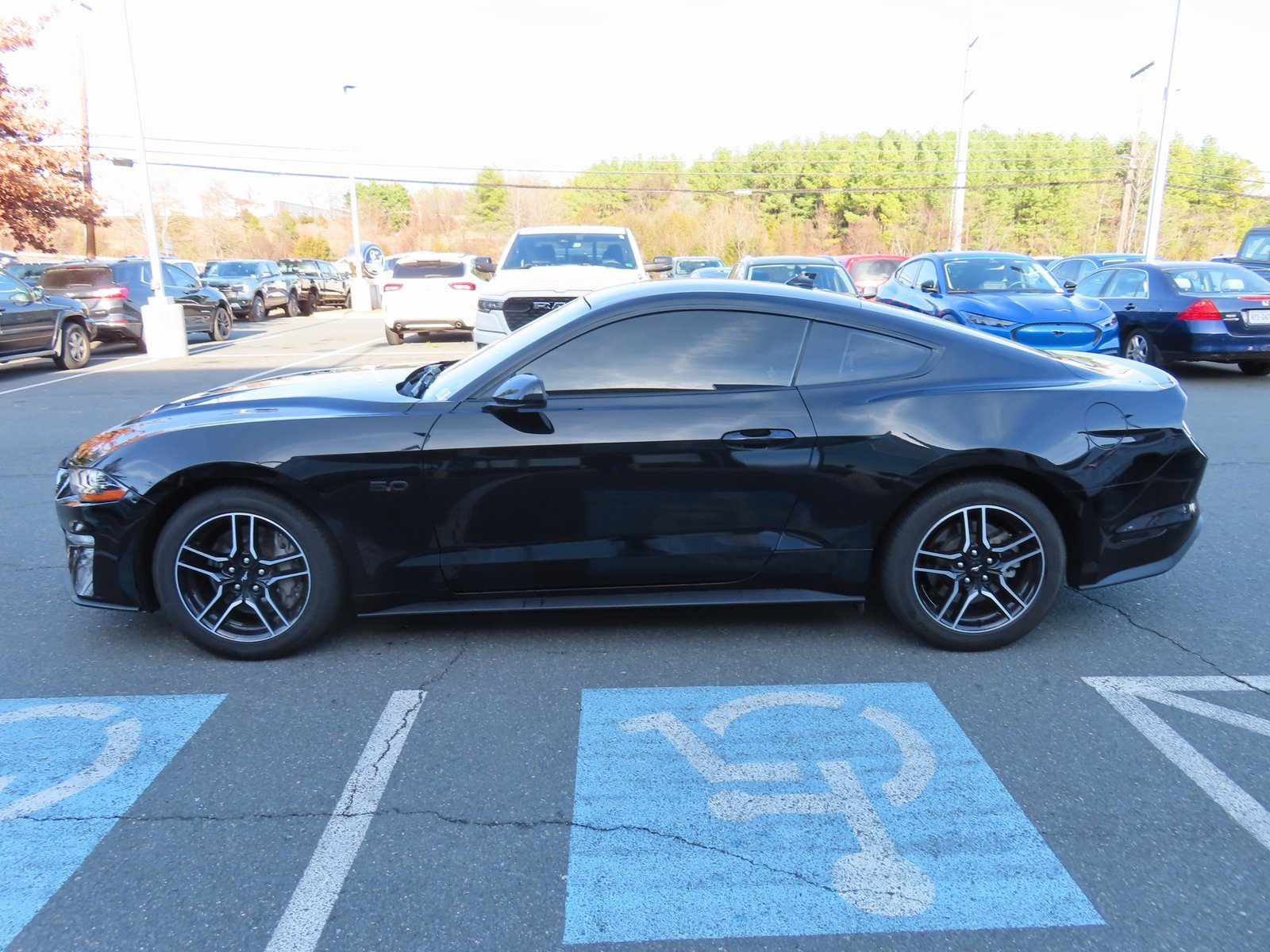 Used 2021 Ford Mustang GT image 8