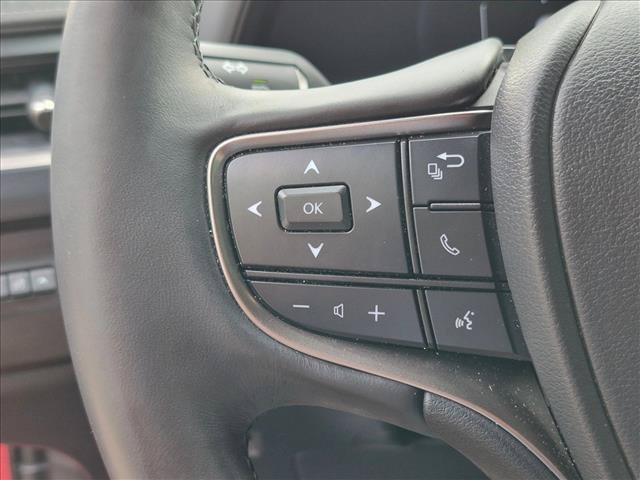 Used 2025 Lexus UX 300h FWD w/ Cold Area Package image 10