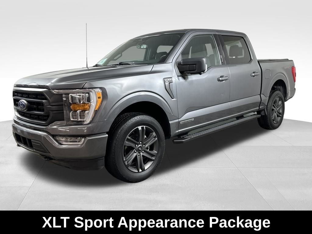 Used 2023 Ford F150 XLT w/ Equipment Group 302A High image 6