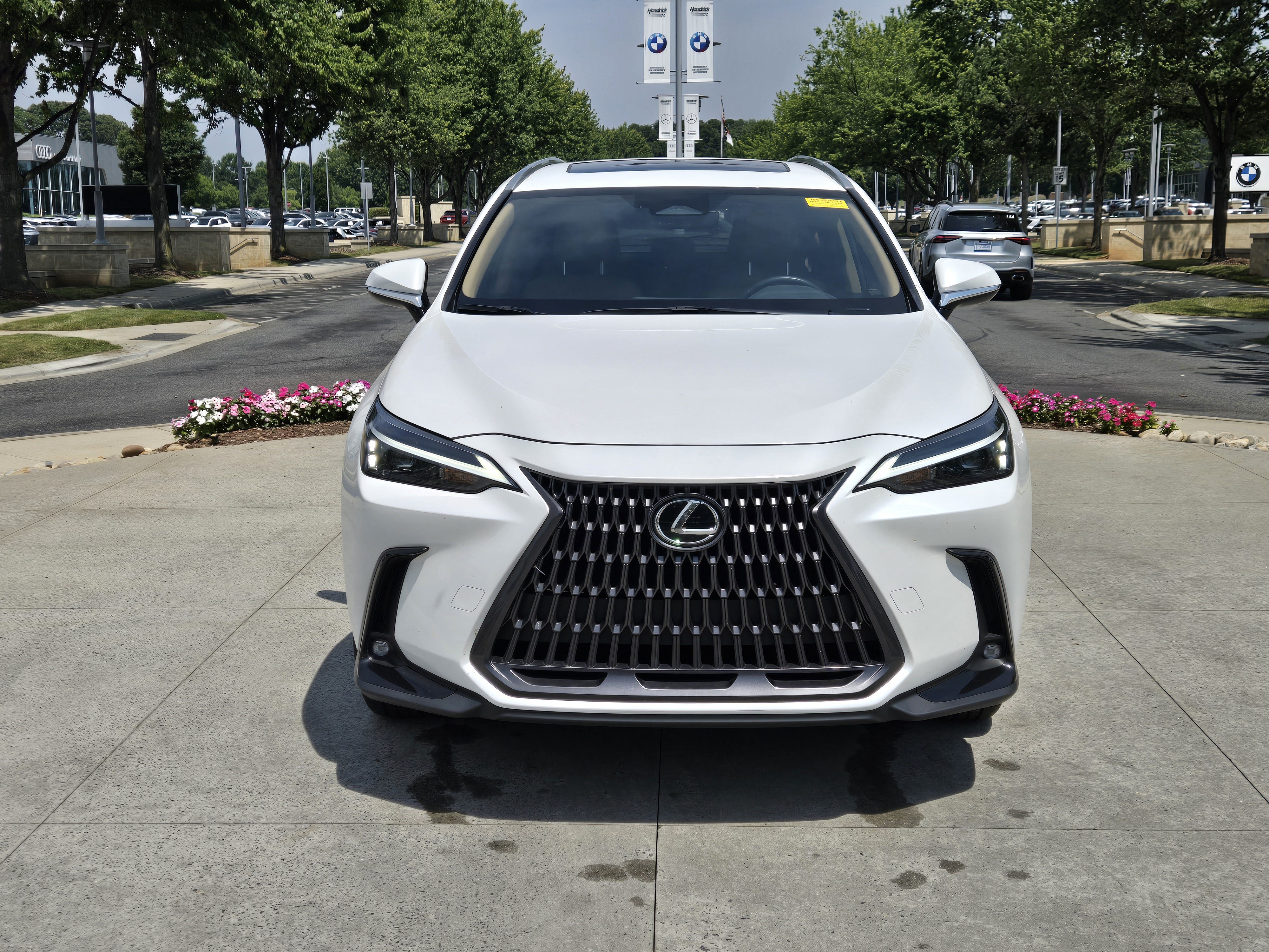 Used 2024 Lexus NX 350 AWD w/ Cold Area Package image 3