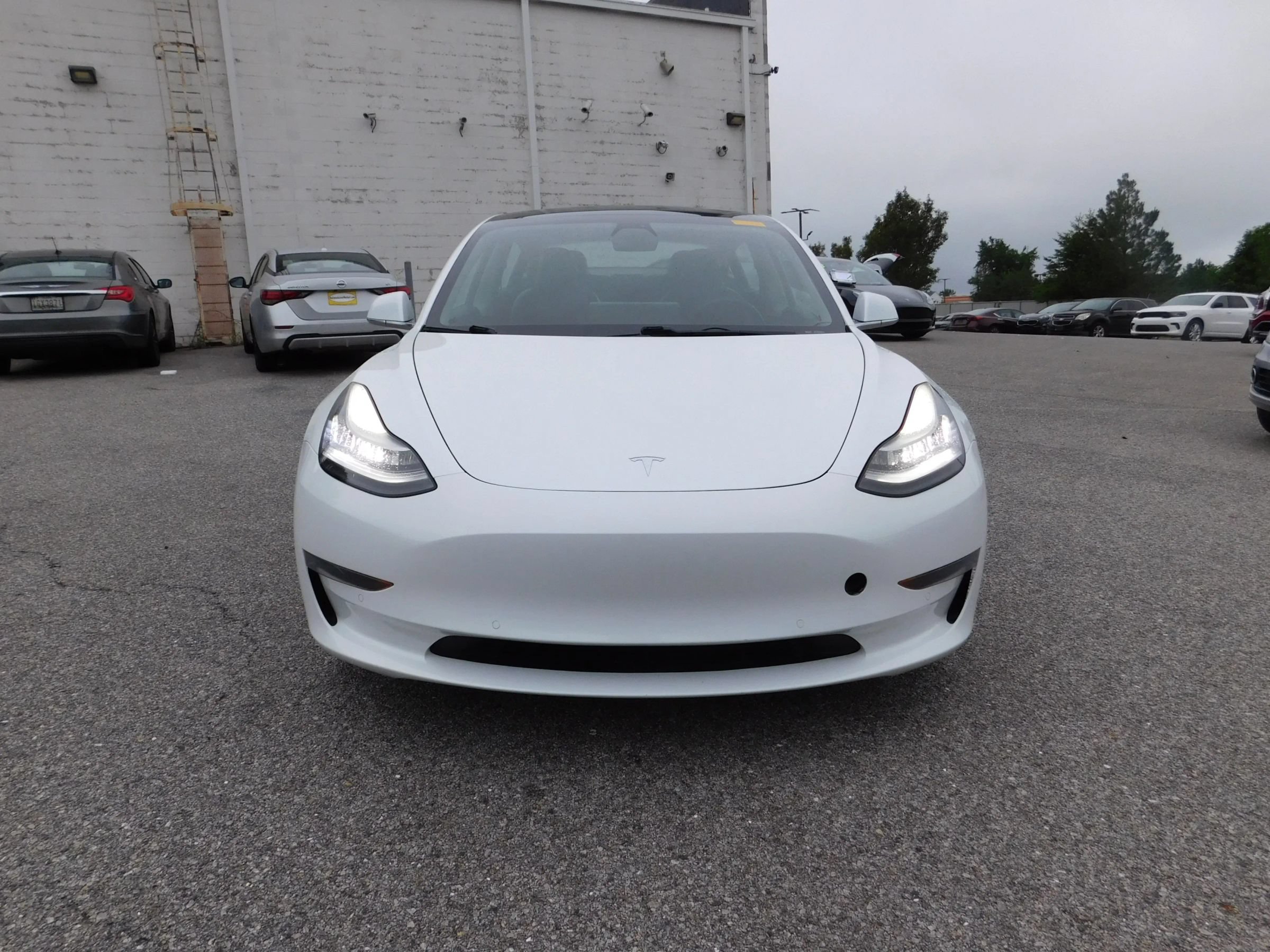 Used 2019 Tesla Model 3 Standard Range Plus RWD image 3