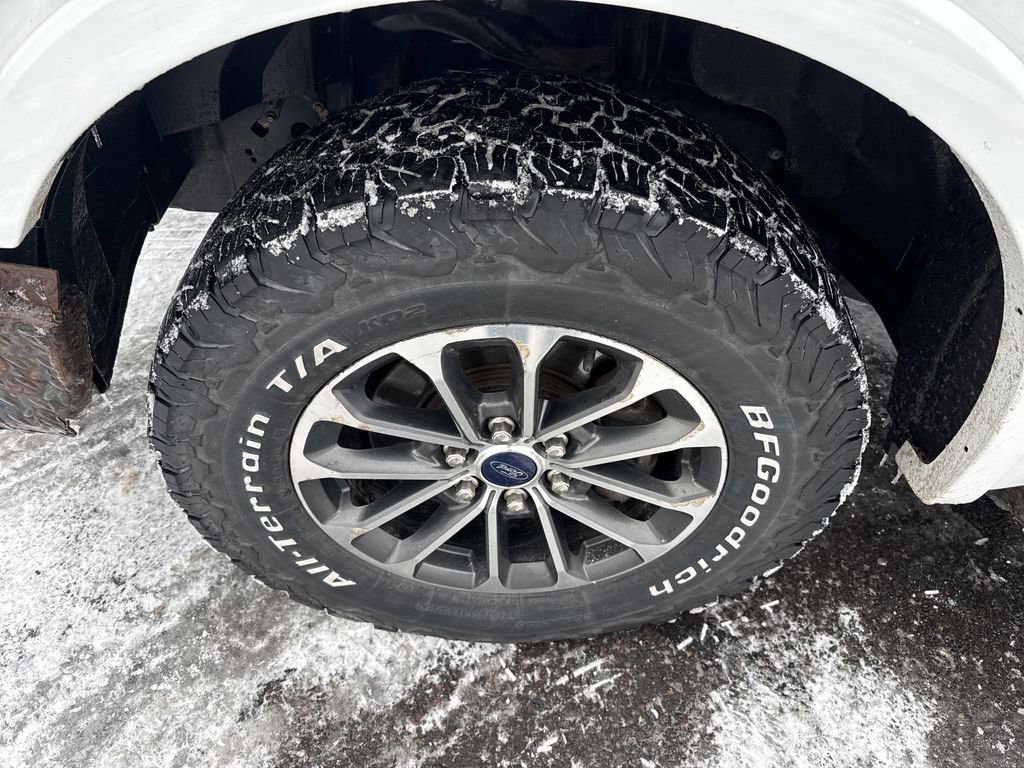 Used 2019 Ford F150 XLT w/ Equipment Group 301A Mid AWD/4WD image 10