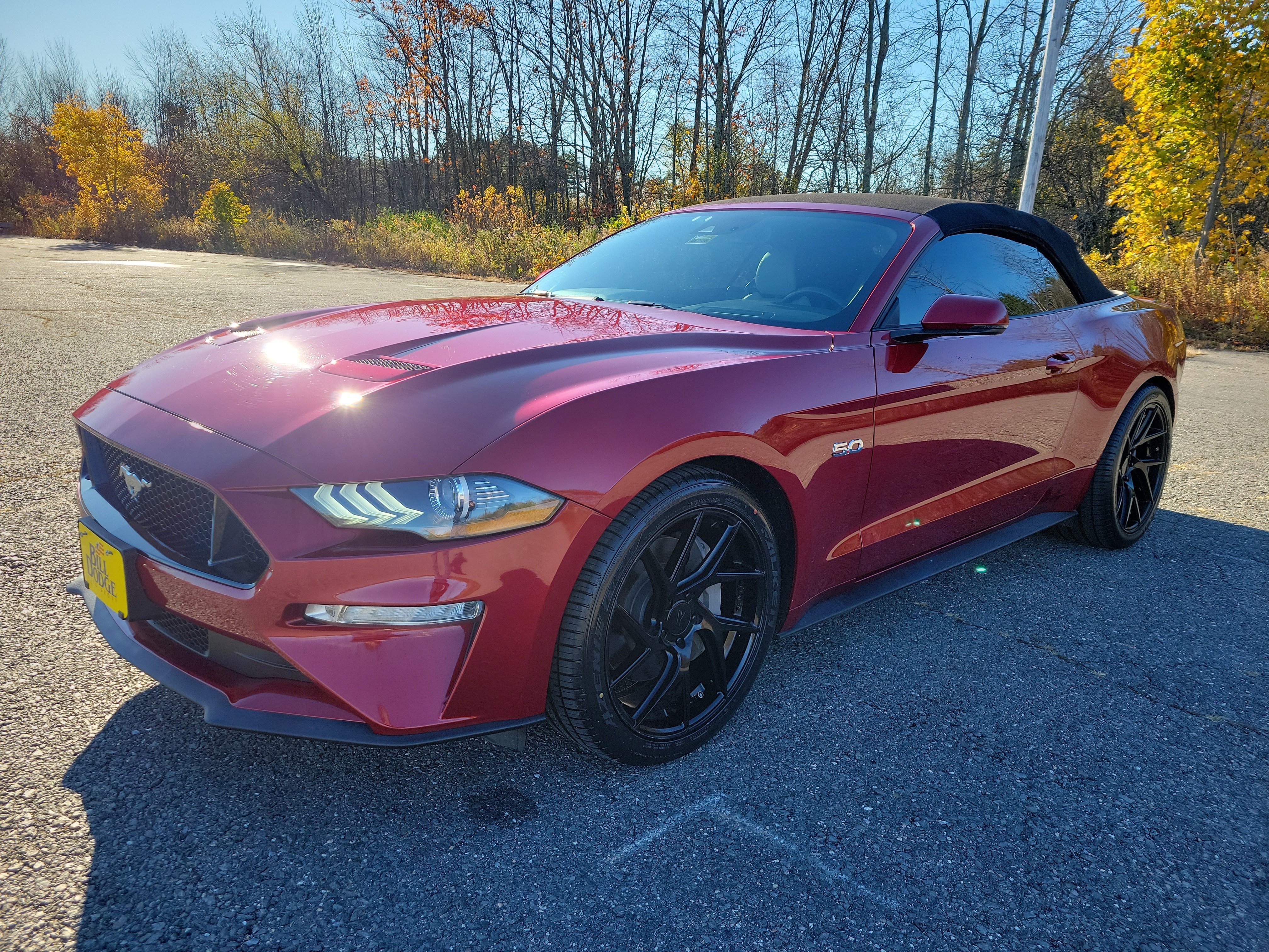 Used 2019 Ford Mustang GT Premium w/ Ford Safe & Smart Package
