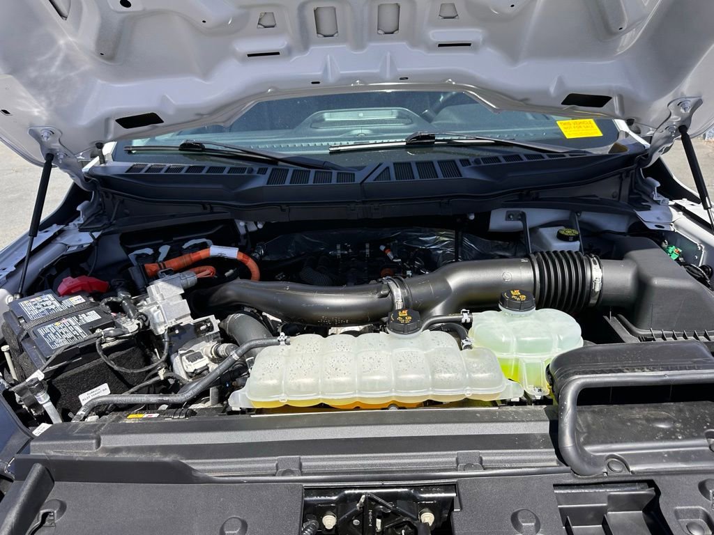 Used 2025 Ford F150 XLT w/ Equipment Group 301A Standard AWD/4WD image 35