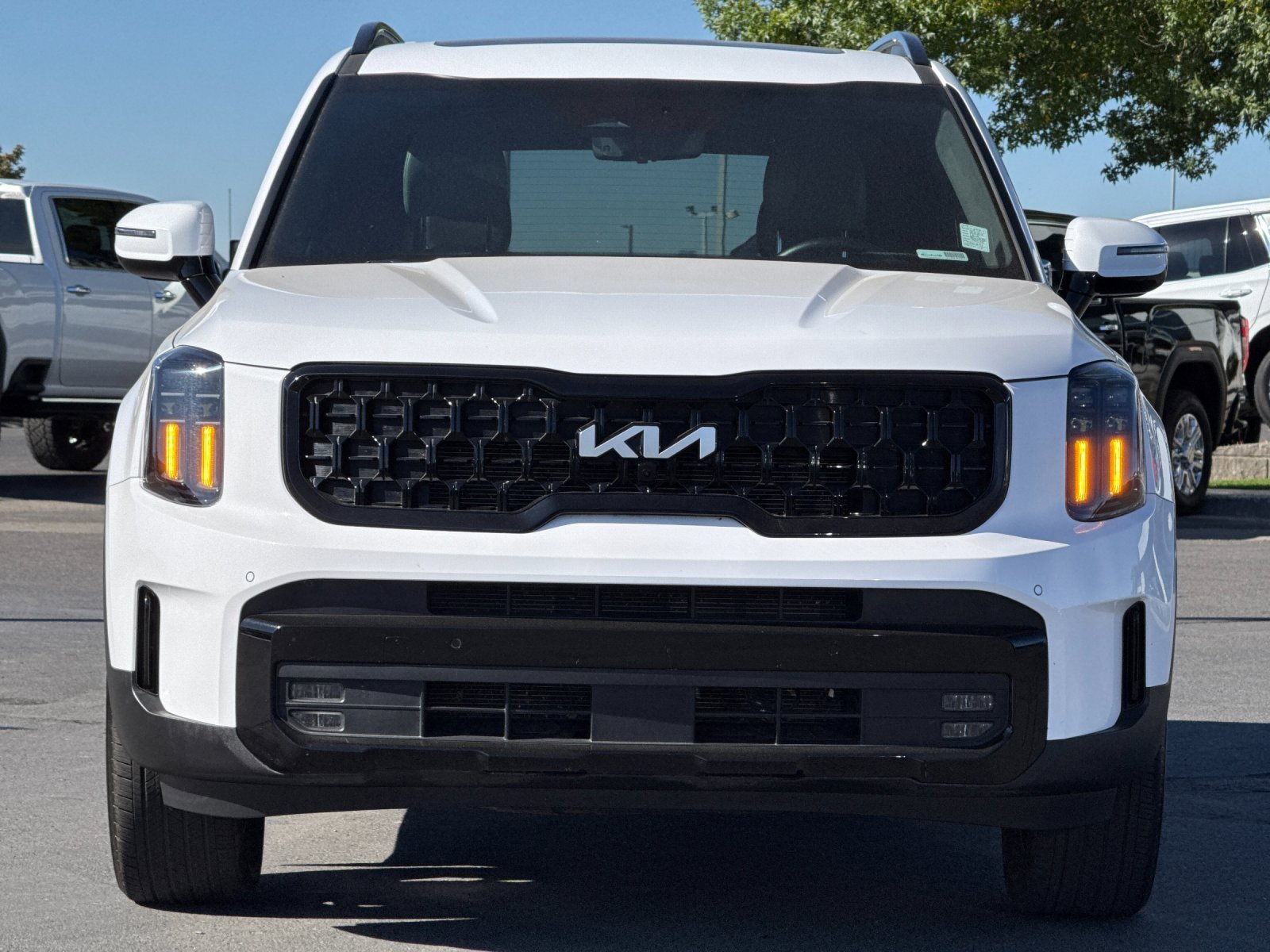 Used 2024 Kia Telluride SX Prestige X-Line image 8
