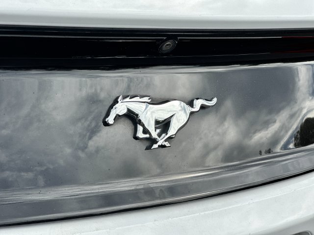 Used 2017 Ford Mustang Premium RWD image 24