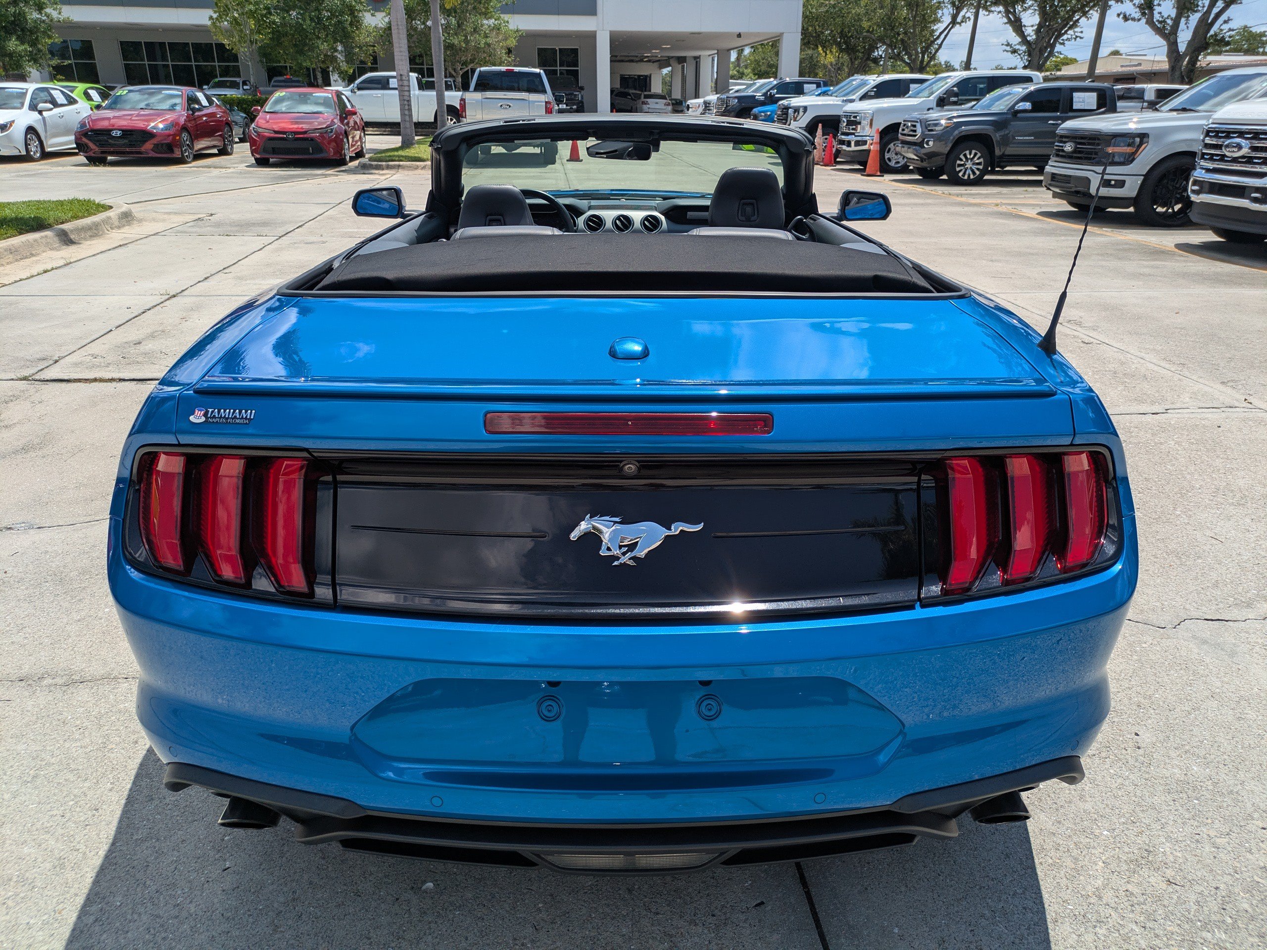 Used 2019 Ford Mustang Premium w/ Equipment Group 201A RWD image 5