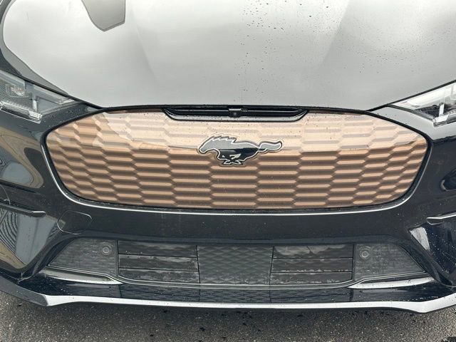 Used 2024 Ford Mustang Mach-E GT w/ Bronze Appearance Package image 9