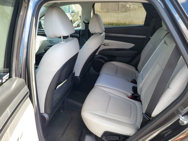 Used 2022 Hyundai Tucson SEL w/ Convenience + Premium Package image 15