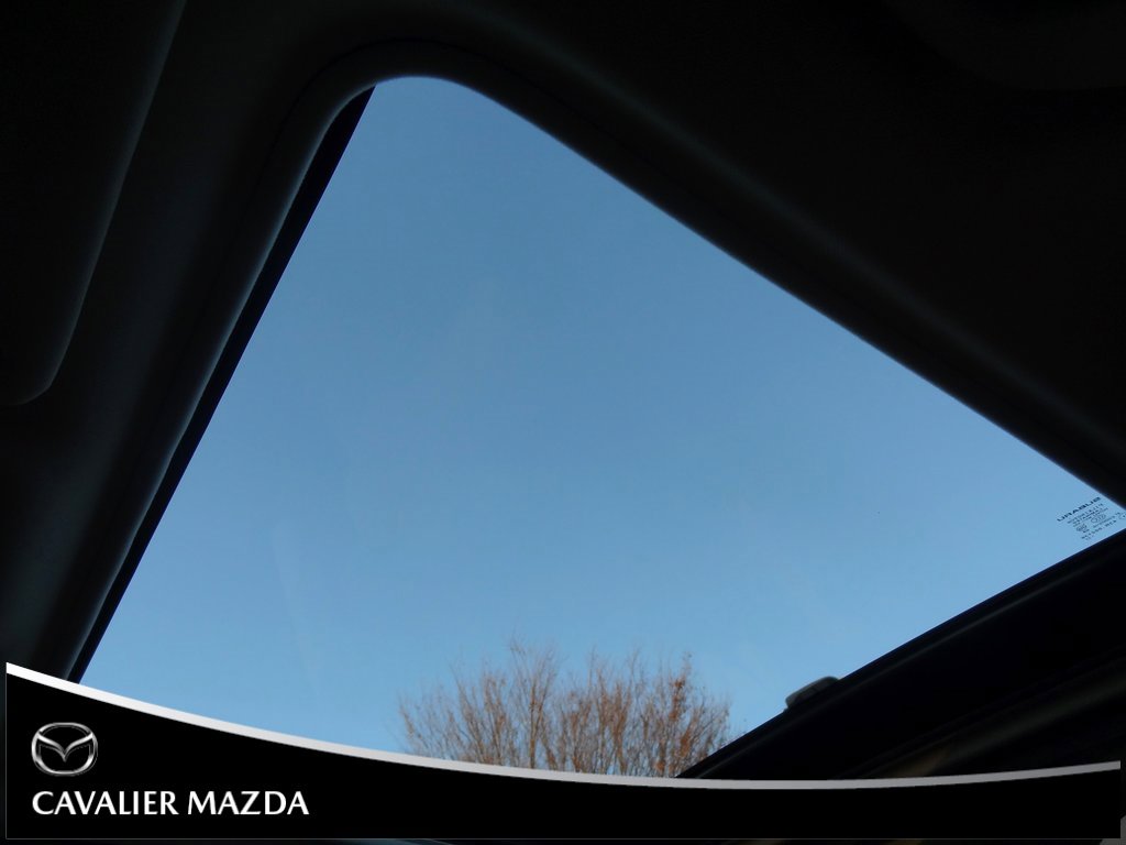 Used 2023 Subaru Forester Limited w/ Popular Package #2 image 10