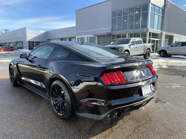 Used 2016 Ford Mustang Shelby GT350 w/ Technology Package image 5