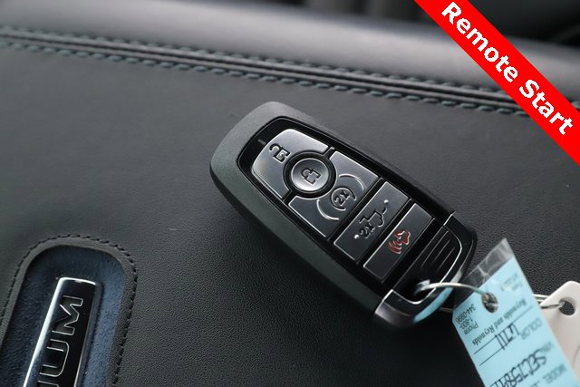 Used 2025 Ford F450 Platinum image 3