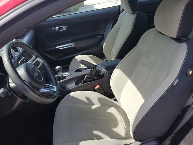 Used 2019 Ford Mustang GT w/ Equipment Group 301A image 24