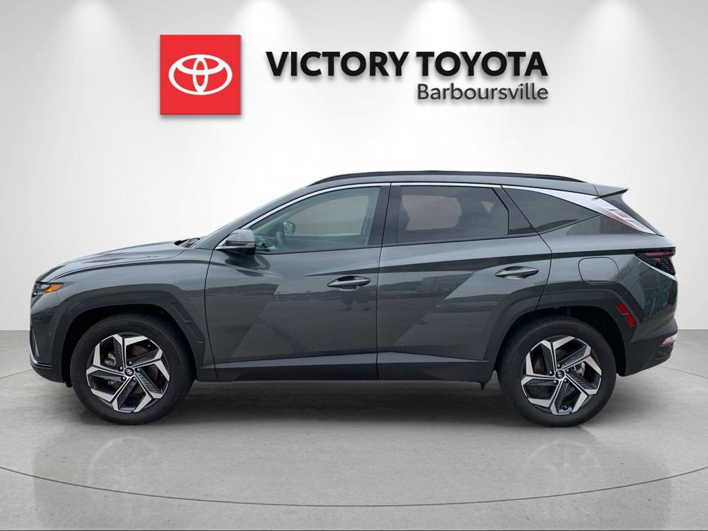 Used 2024 Hyundai Tucson Limited AWD/4WD image 2