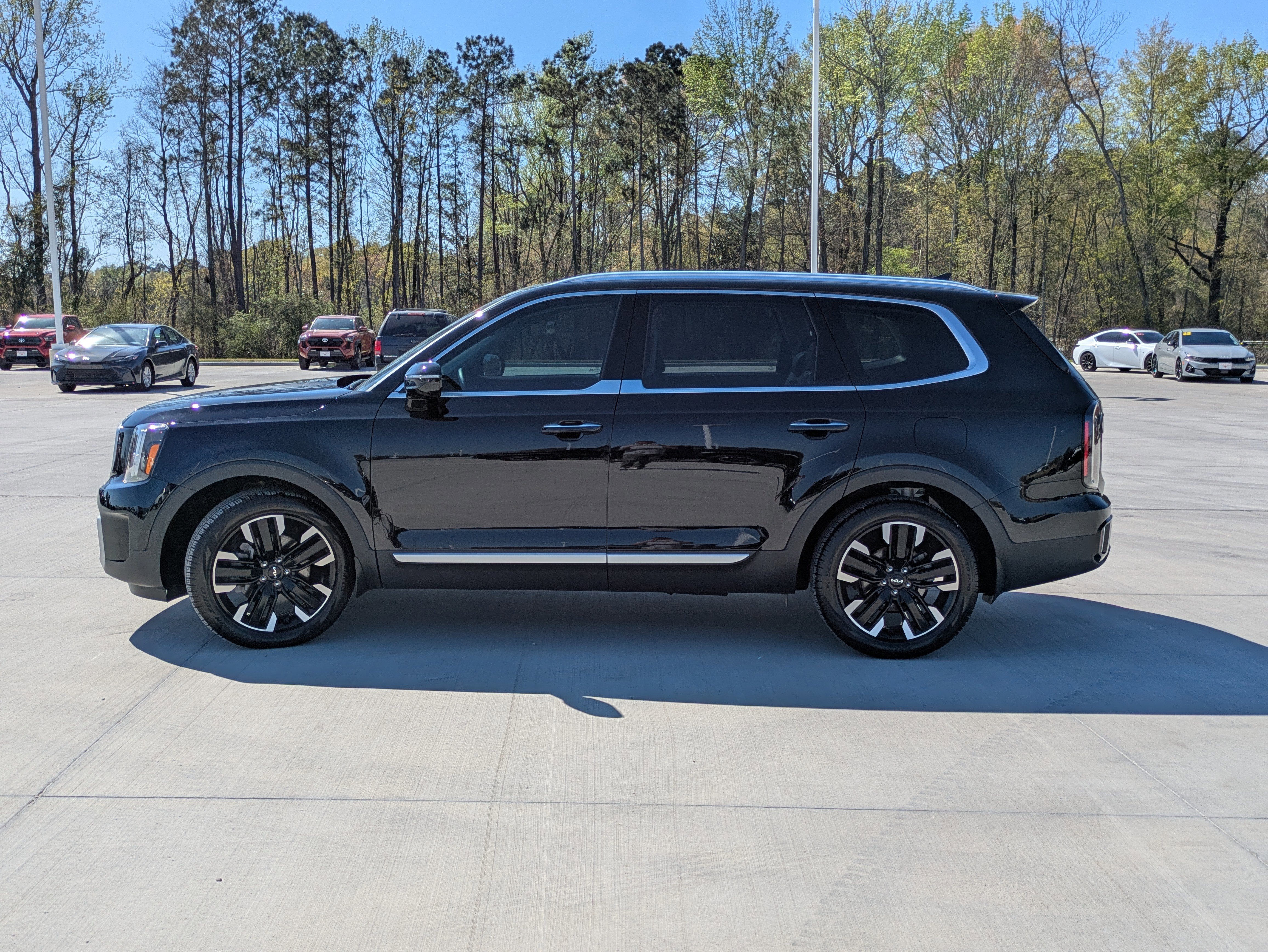 Used 2025 Kia Telluride SX image 4