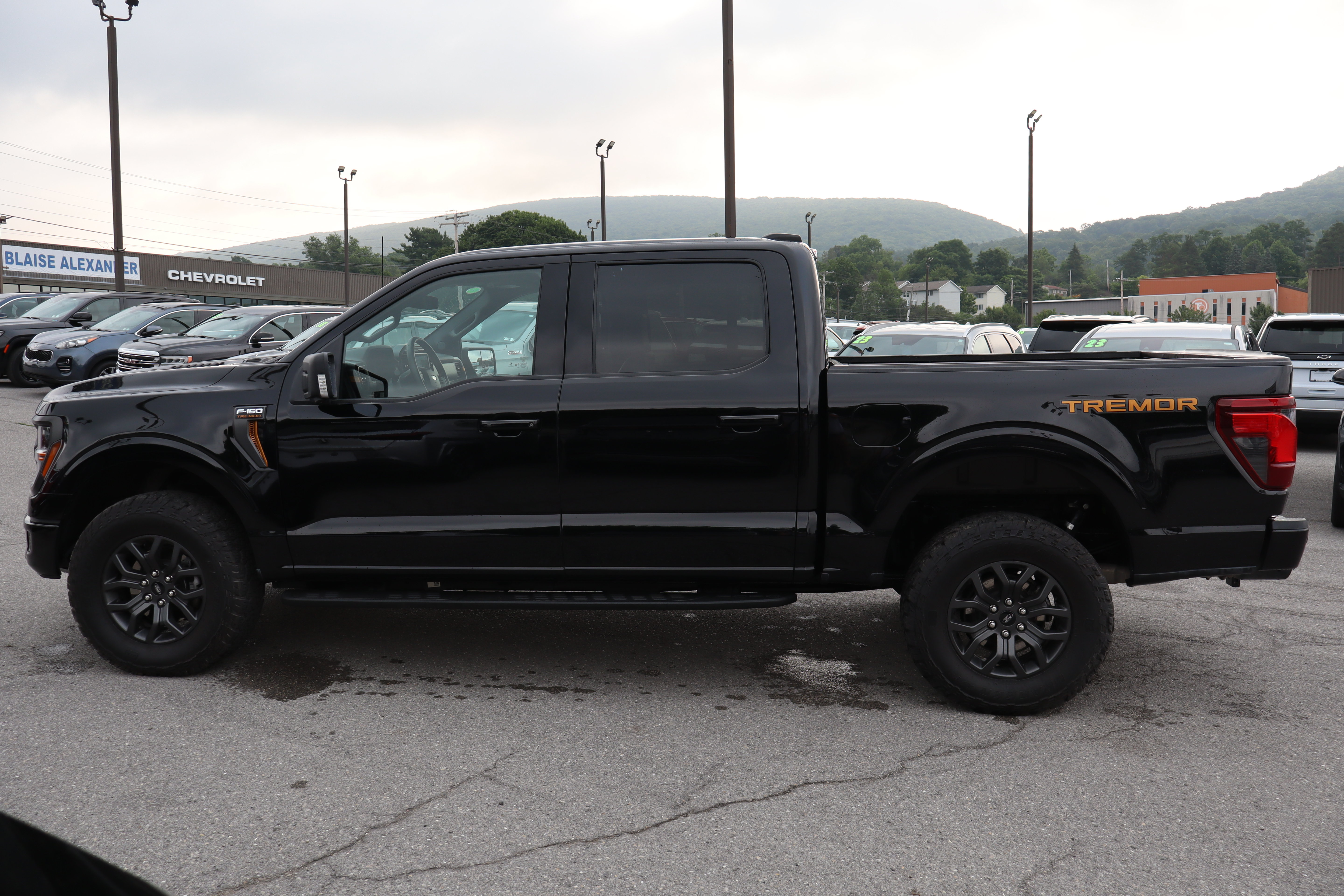 Used 2025 Ford F150 Tremor AWD/4WD image 6