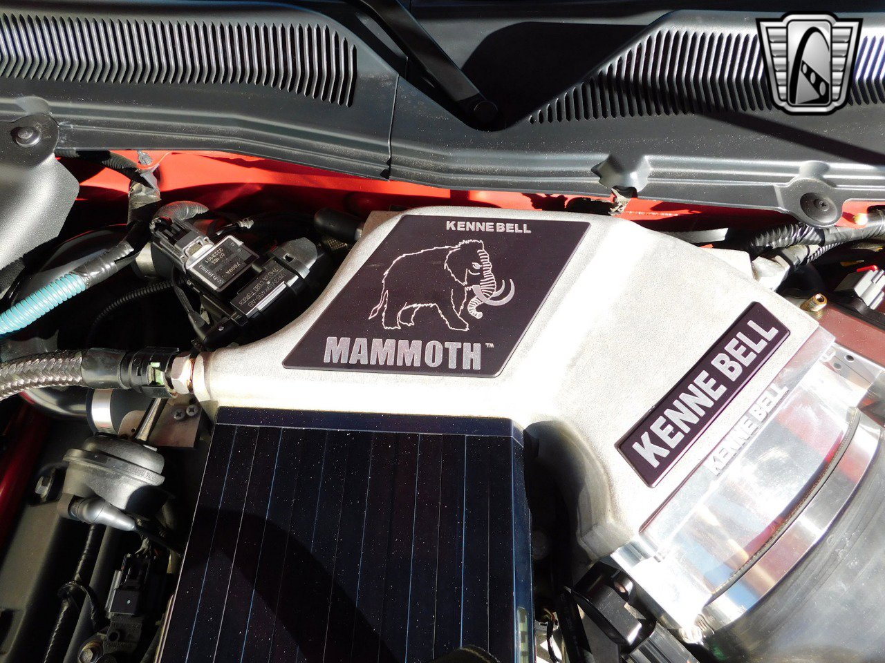 Used 2008 Ford Mustang Shelby GT500 image 16