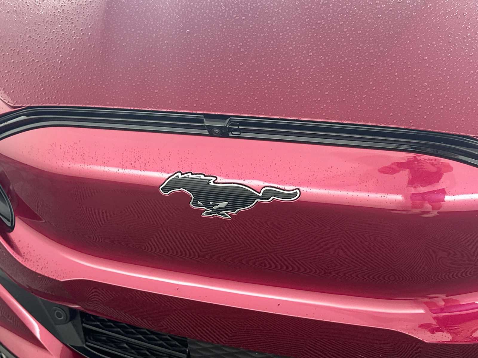 Used 2025 Ford Mustang Mach-E Premium AWD/4WD image 19