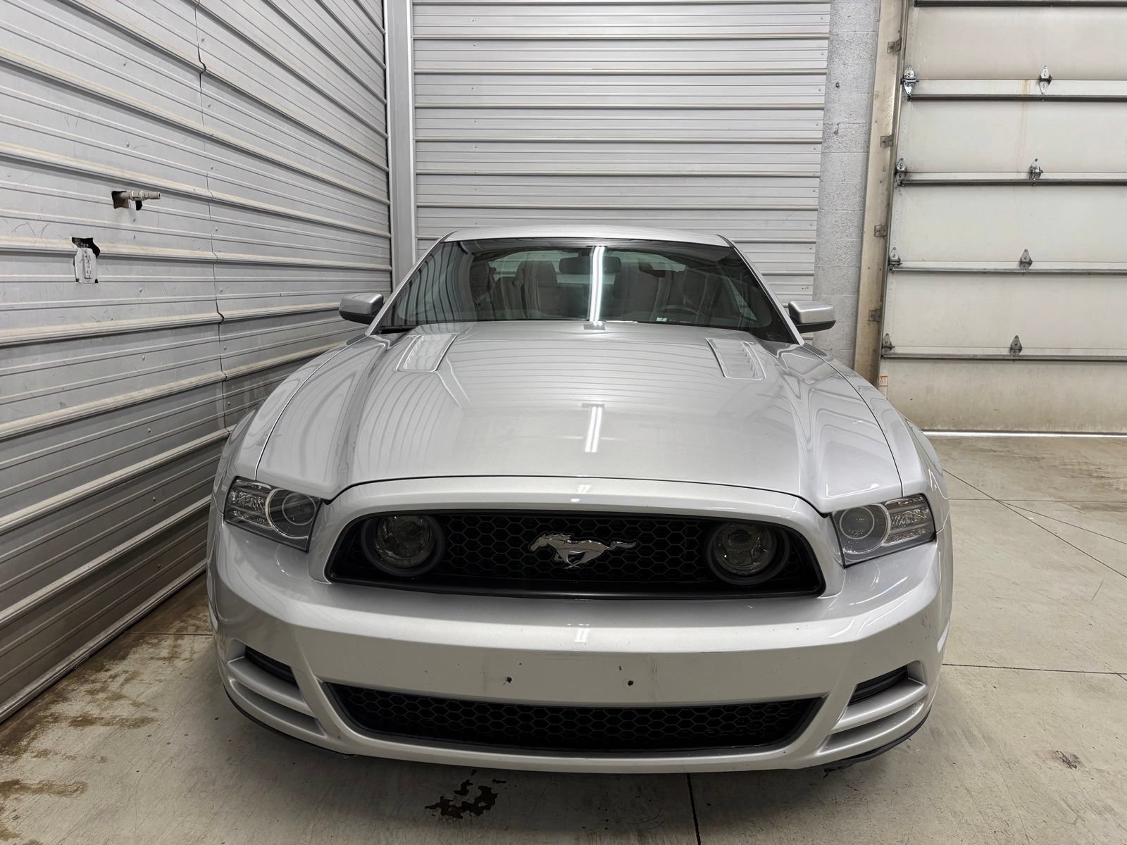 Used 2014 Ford Mustang GT Premium w/ Comfort Package RWD image 2