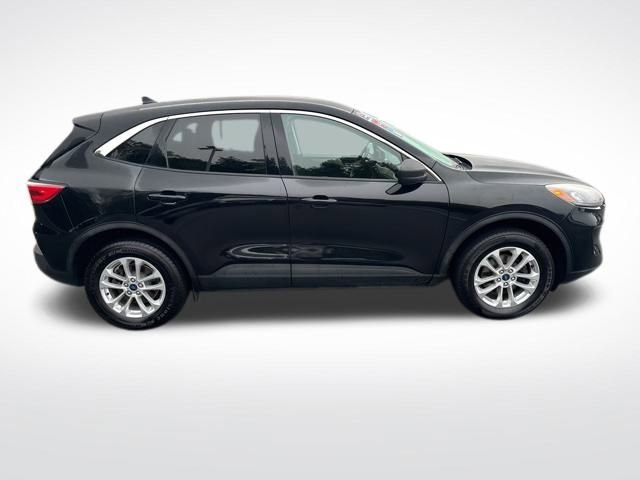 Used 2022 Ford Escape SE w/ Cold Weather Package image 6