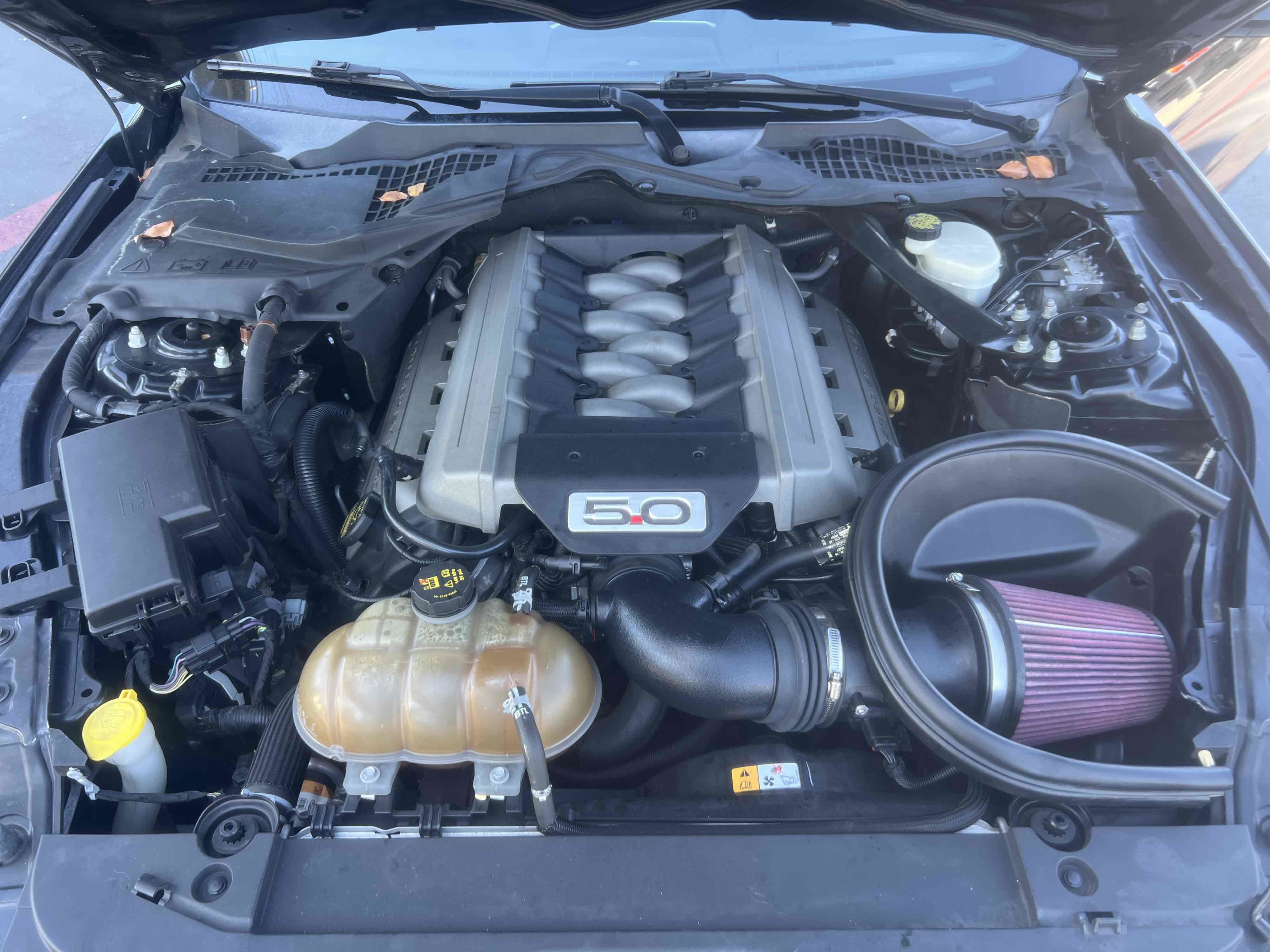 Used 2015 Ford Mustang GT Premium w/ Equipment Group 401A image 10