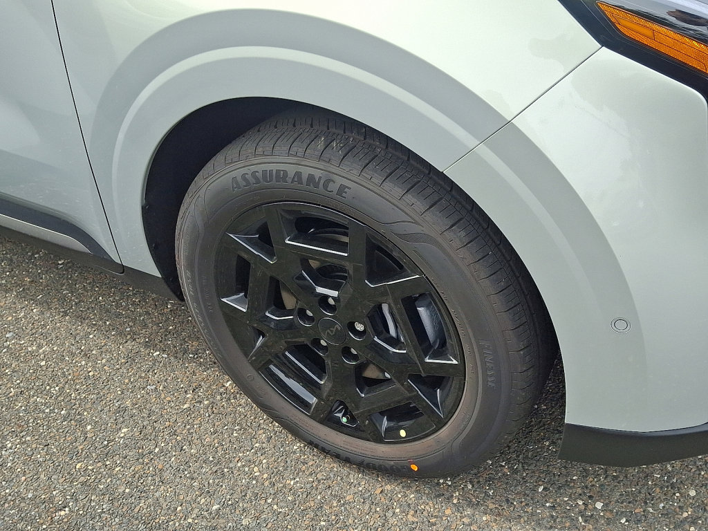 New 2026 Kia Carnival SX image 4