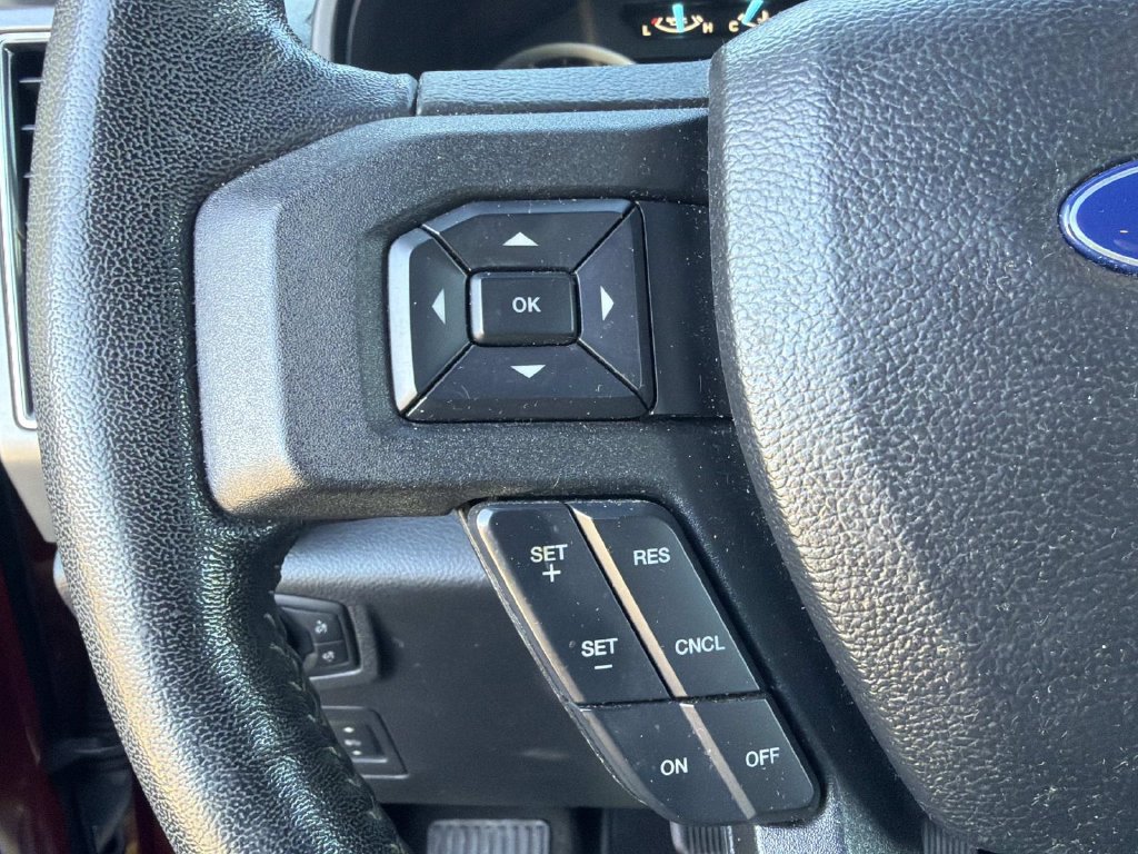 Used 2019 Ford F150 XLT w/ Equipment Group 302A Luxury AWD/4WD image 18