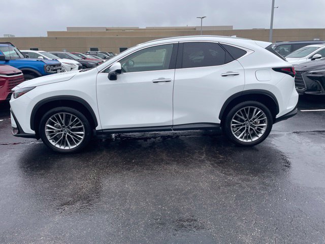 Certified 2026 Lexus NX 350h AWD w/ Accessory Package (2T) image 3