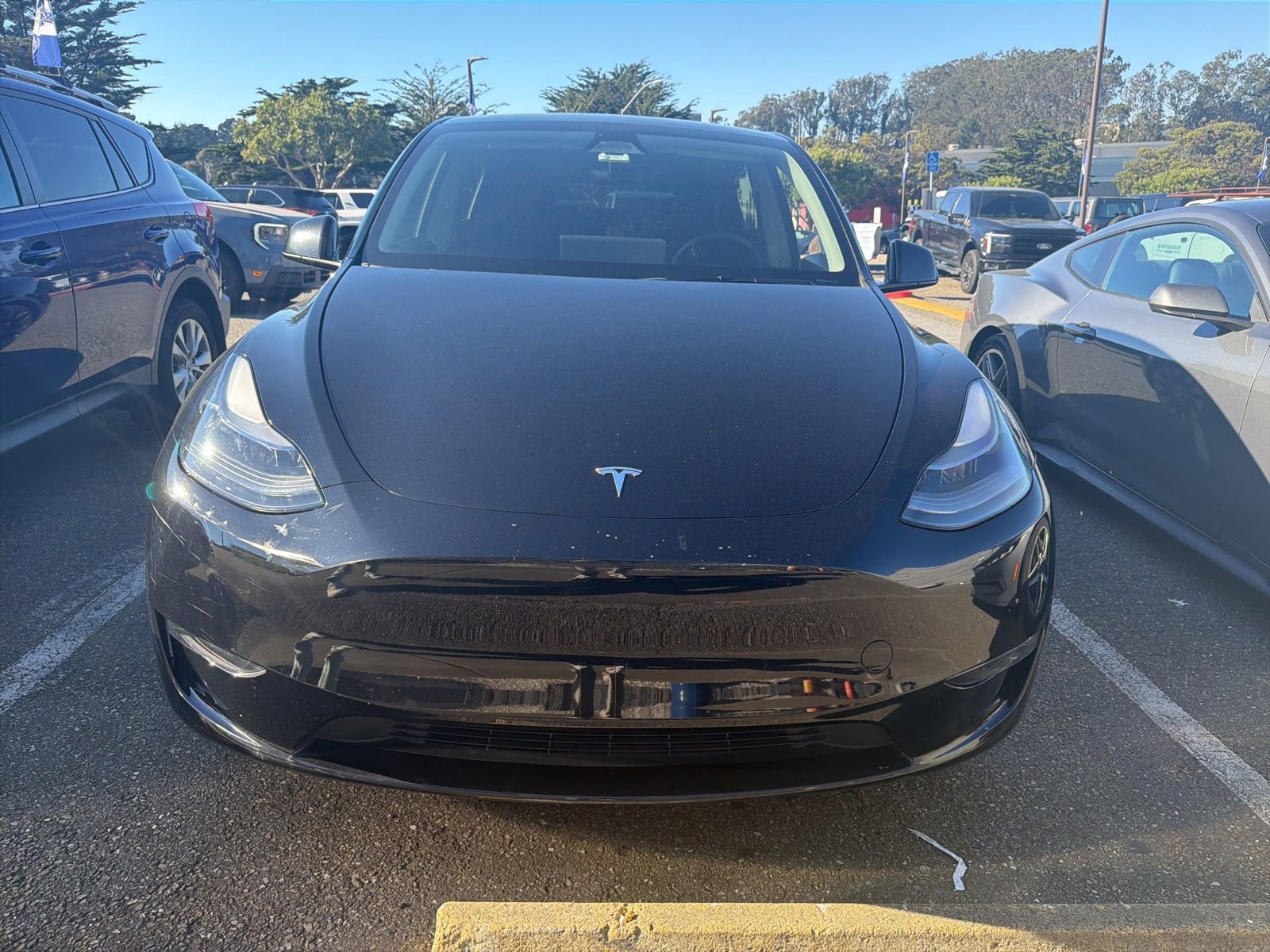 Used 2023 Tesla Model Y Performance image 2