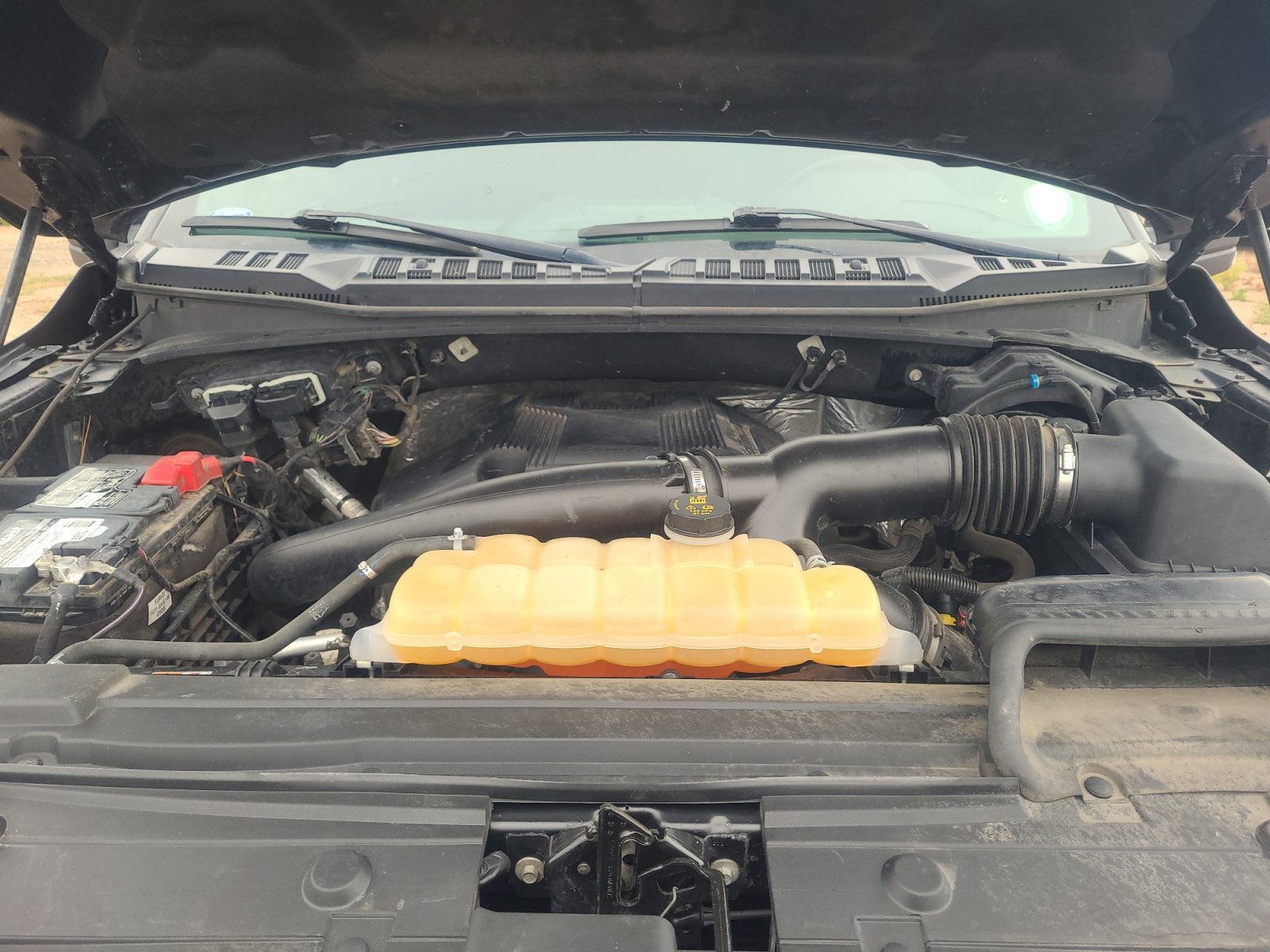 Used 2019 Ford F150 XLT w/ Equipment Group 302A Luxury AWD/4WD image 21