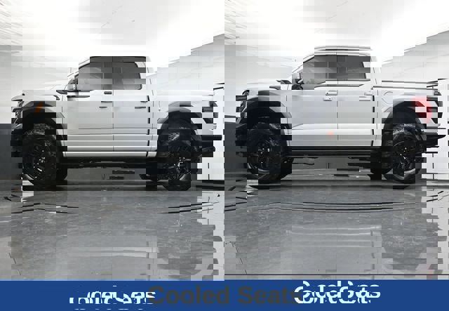 Used 2025 Ford F150 Raptor image 30