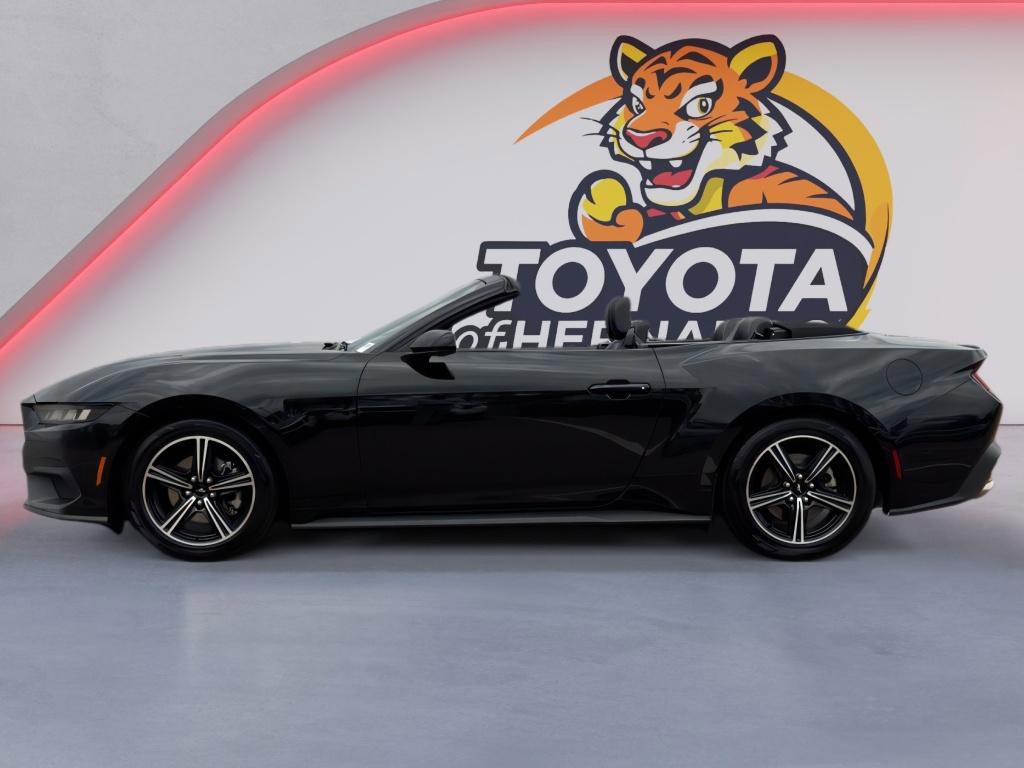 Used 2024 Ford Mustang Premium image 8