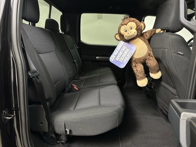 Used 2023 Ford F150 XLT w/ Equipment Group 302A High image 14