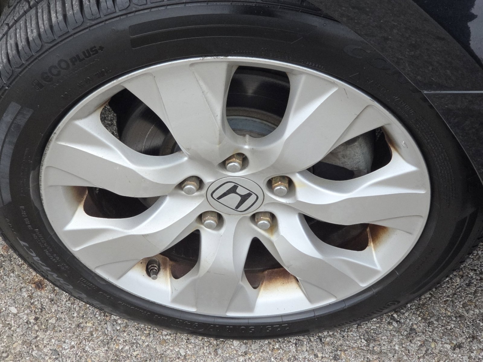 Used 2010 Honda Accord EX-L image 6