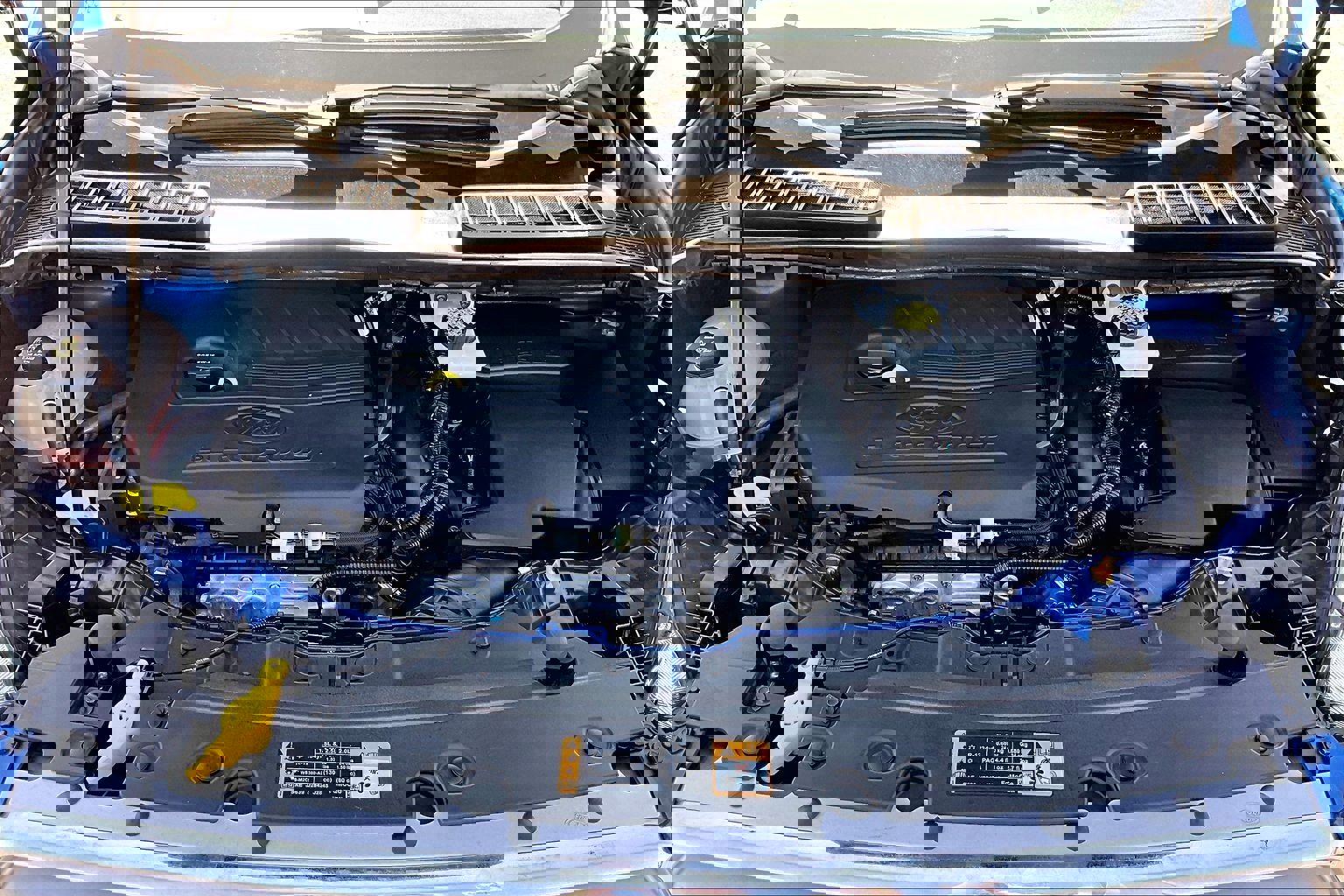 Used 2018 Ford Escape SE image 9