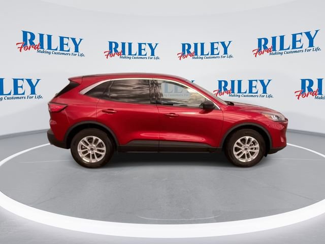 Used 2022 Ford Escape SE w/ Cold Weather Package AWD/4WD image 10